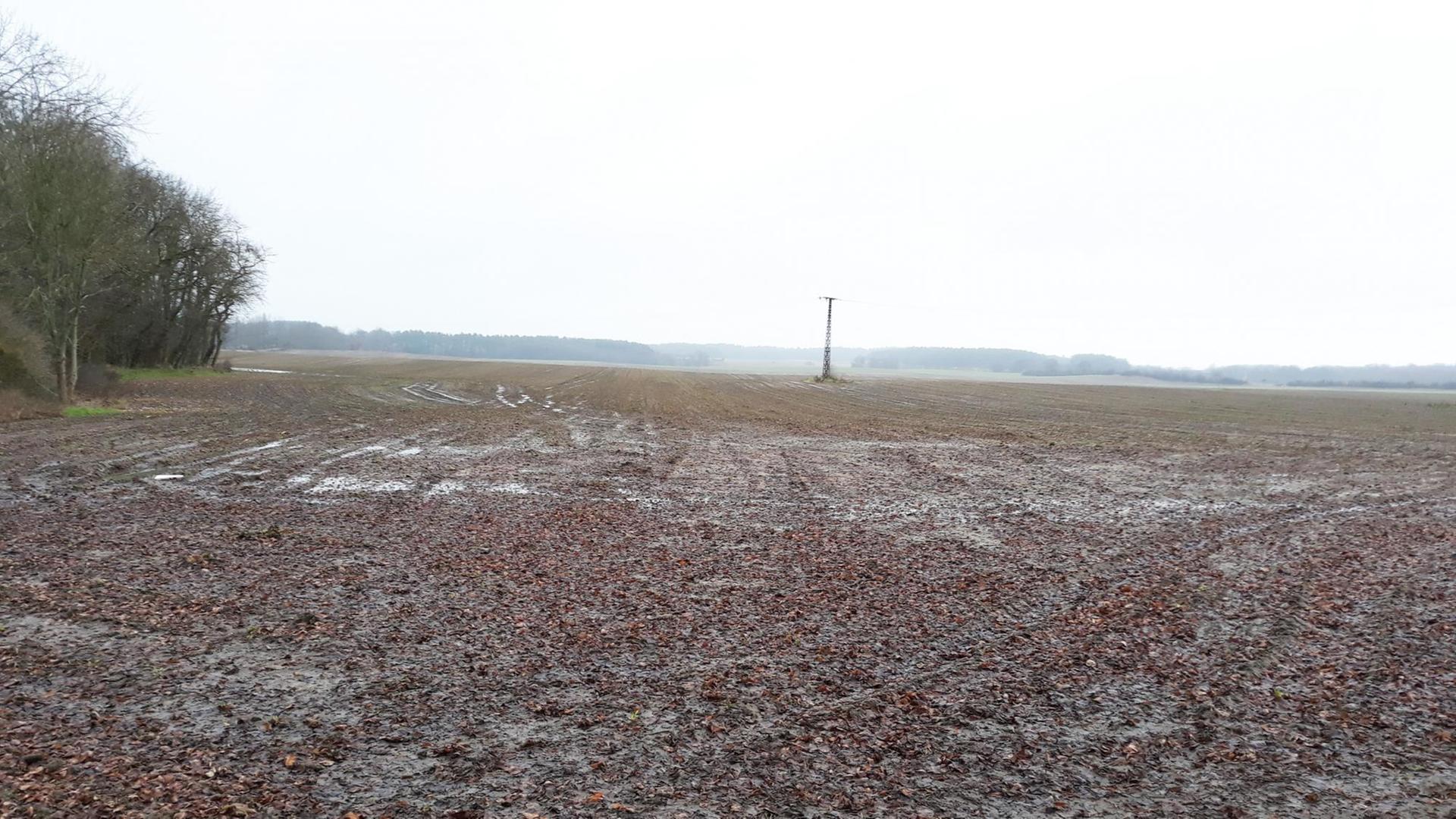 Matschiger und wassergesättigter Acker in Bröllin Matschiger und wassergesättigter Acker in Bröllin