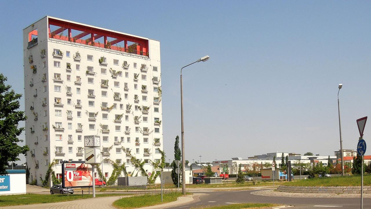 Geringer Pflanzenwuchs an der Fassade des Lausitztowers in Hoyerswerda Geringer Pflanzenwuchs an der Fassade des Lausitztowers in Hoyerswerda