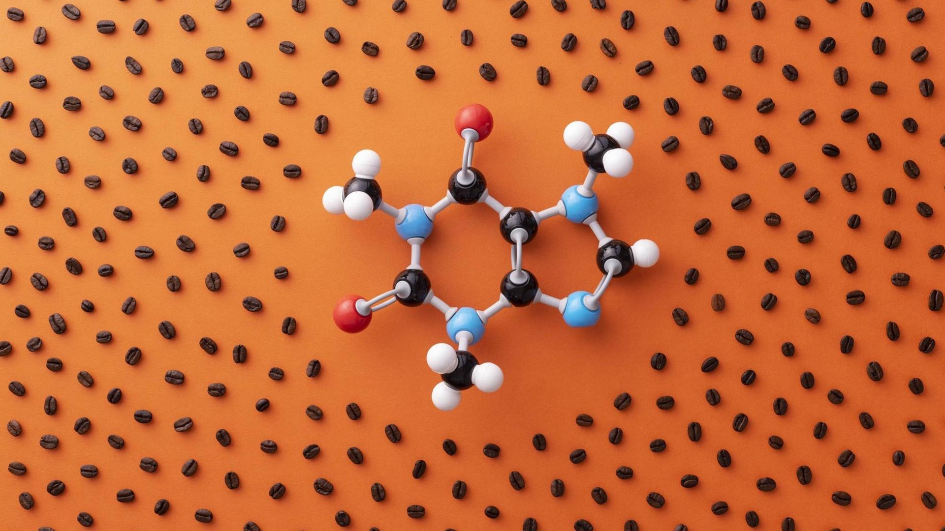 Molekülmodell umgeben von Kaffeebohnen