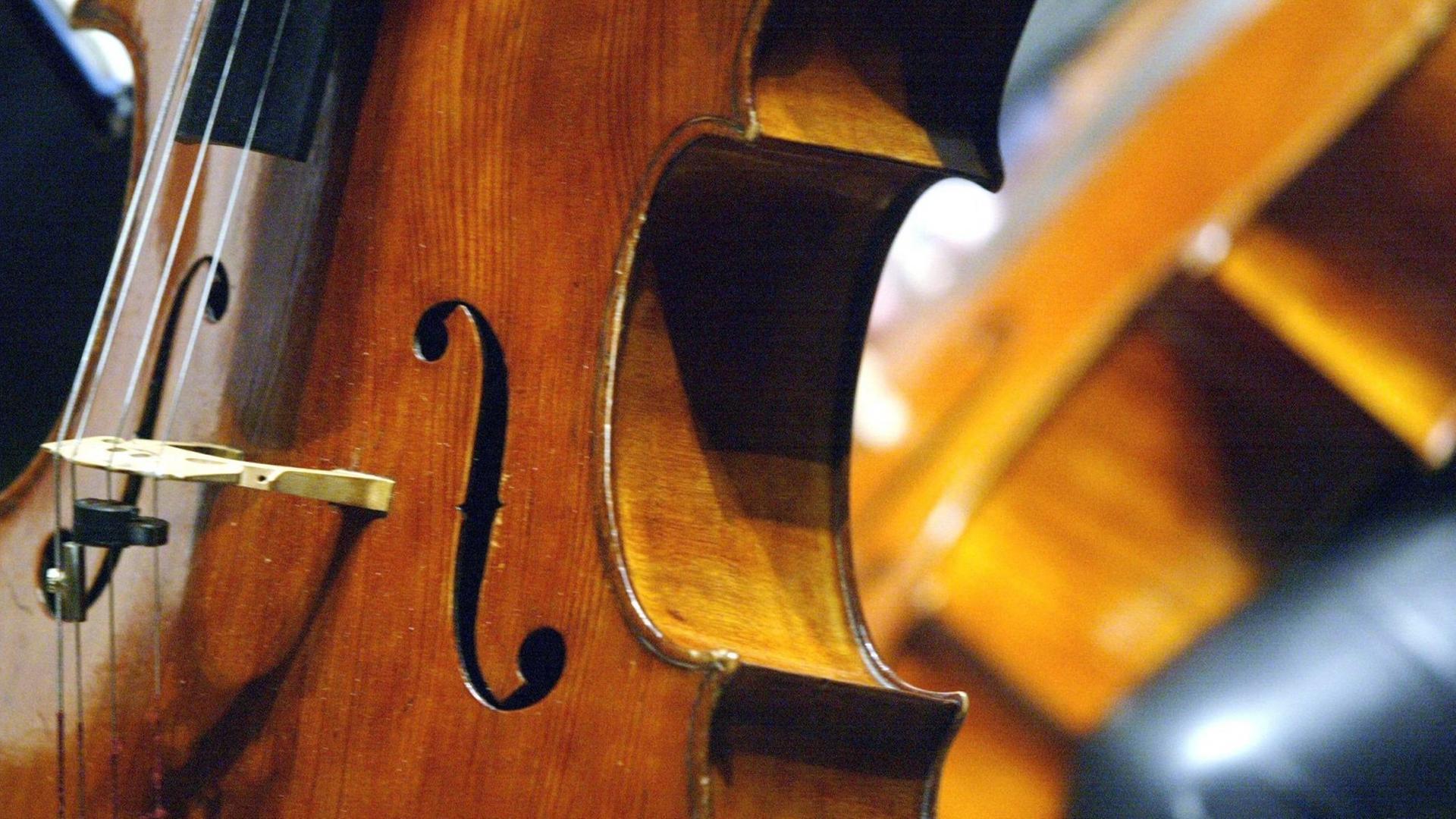 Detailaufnahme eines Cellos, bei dem der Steg, die Saiten und die Schalllöcher des Instrumentes zu sehen sind. Detailaufnahme eines Cellos, bei dem der Steg, die Saiten und die Schalllöcher des Instrumentes zu sehen sind.