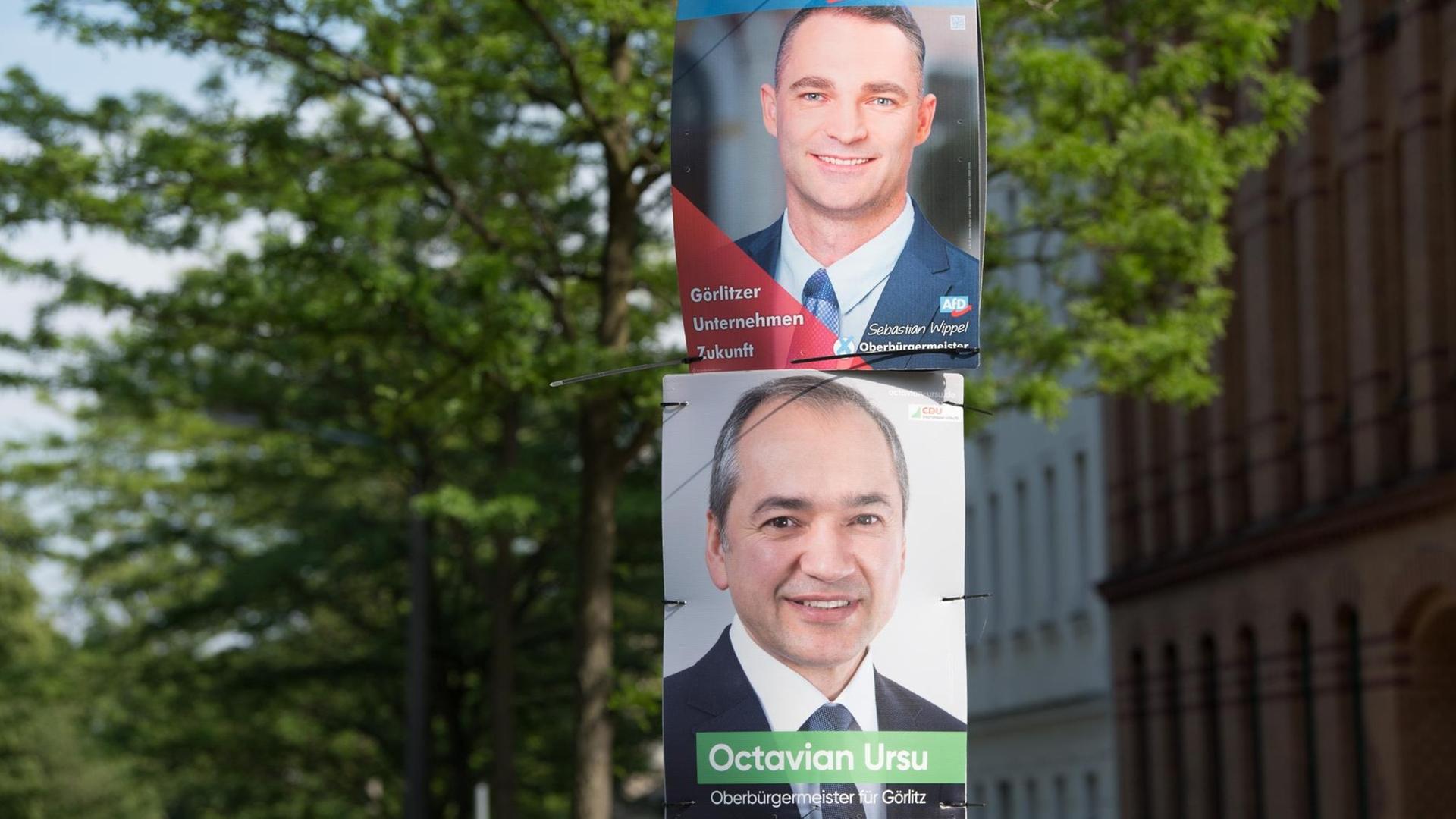 Wahlplakate mit den Fotos der beiden Oberbürgermeisterkandidaten für Görlitz: Sebastian Wippel (AfD, oben) und Octavian Ursu (CDU). Wahlplakate mit den Fotos der beiden Oberbürgermeisterkandidaten für Görlitz: Sebastian Wippel (AfD, oben) und Octavian Ursu (CDU).