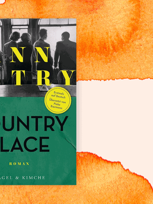 Cover des Buchs "Country Place" von Ann Petry