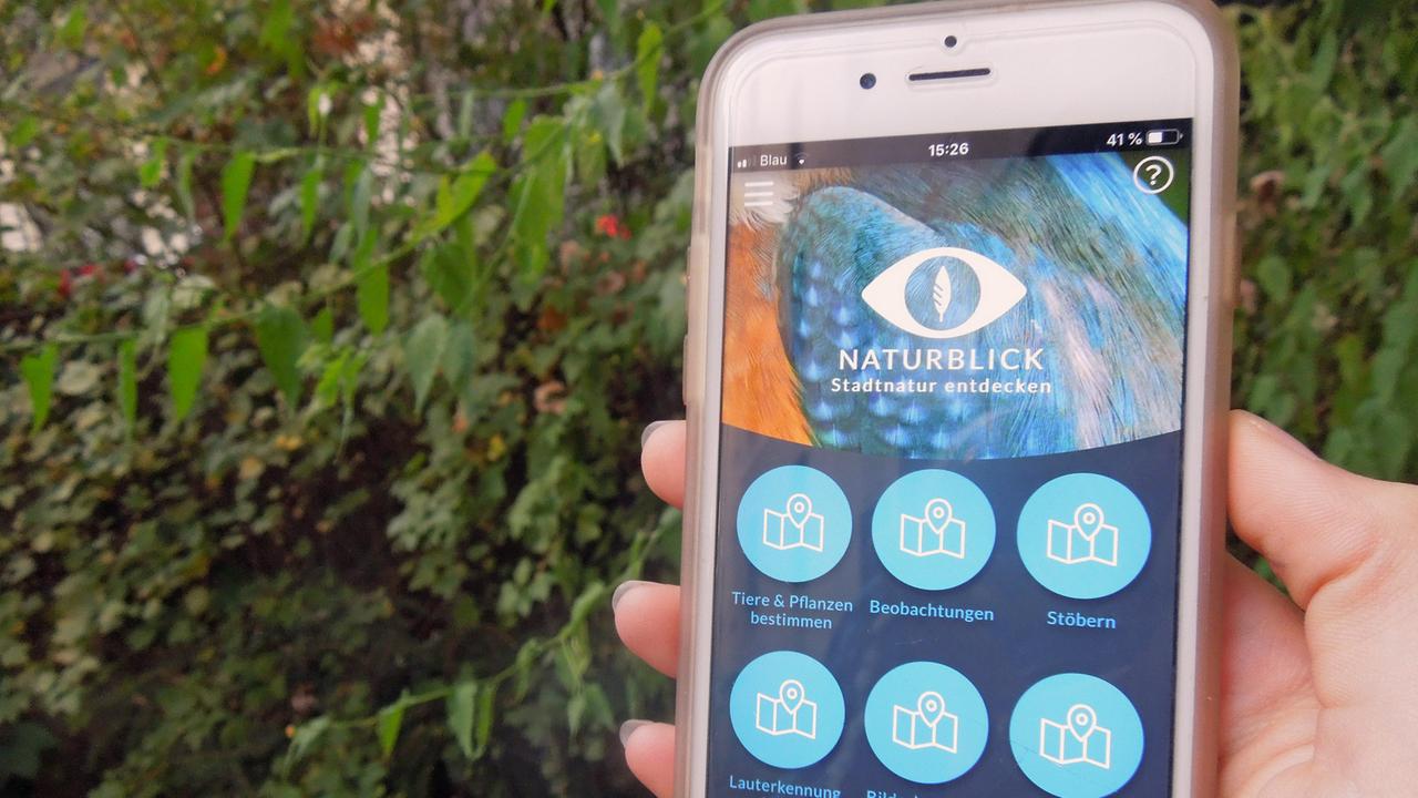 Eine Hand hält ein Smartphone, das die Naturblick-App des Naturkundemuseums Berlin auf dem Display zeigt. Eine Hand hält ein Smartphone, das die Naturblick-App des Naturkundemuseums Berlin auf dem Display zeigt.