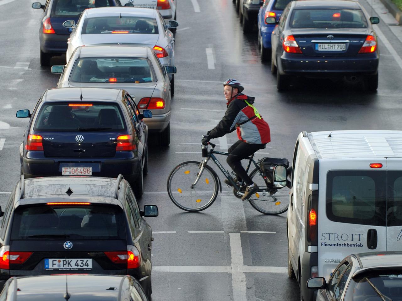 Ein Fahrradfahrer fährt zwischen Autos vorbei, die sich an einer Einfallstraße von Frankfurt am Main im Berufsverkehr stauen. Ein Fahrradfahrer fährt zwischen Autos vorbei, die sich an einer Einfallstraße von Frankfurt am Main im Berufsverkehr stauen.