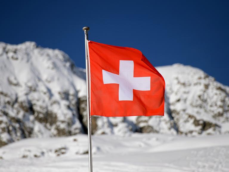 Leider liegt für dieses Bild keine Bildbeschreibung vor