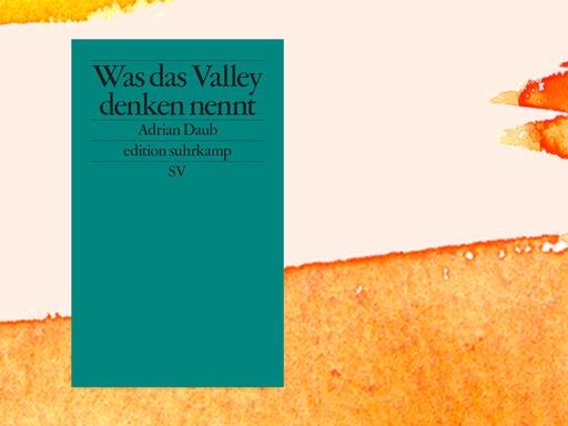 Das grüne Cover des Buches "Was das Valley denken nennt" auf einer sonnigen Collage.