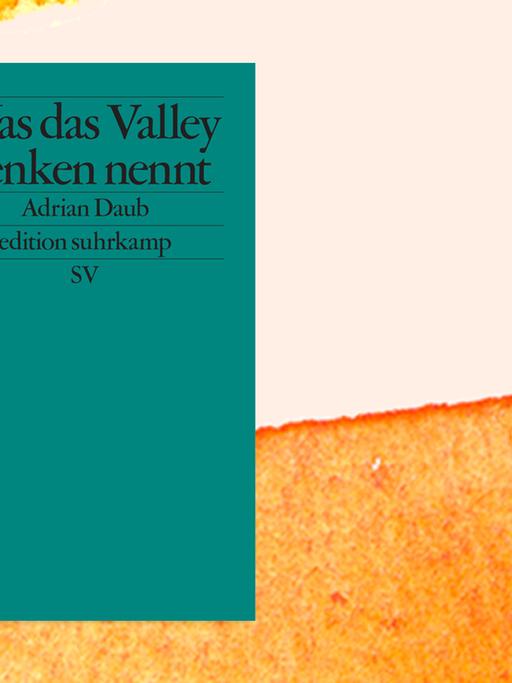 Das grüne Cover des Buches "Was das Valley denken nennt" auf einer sonnigen Collage.