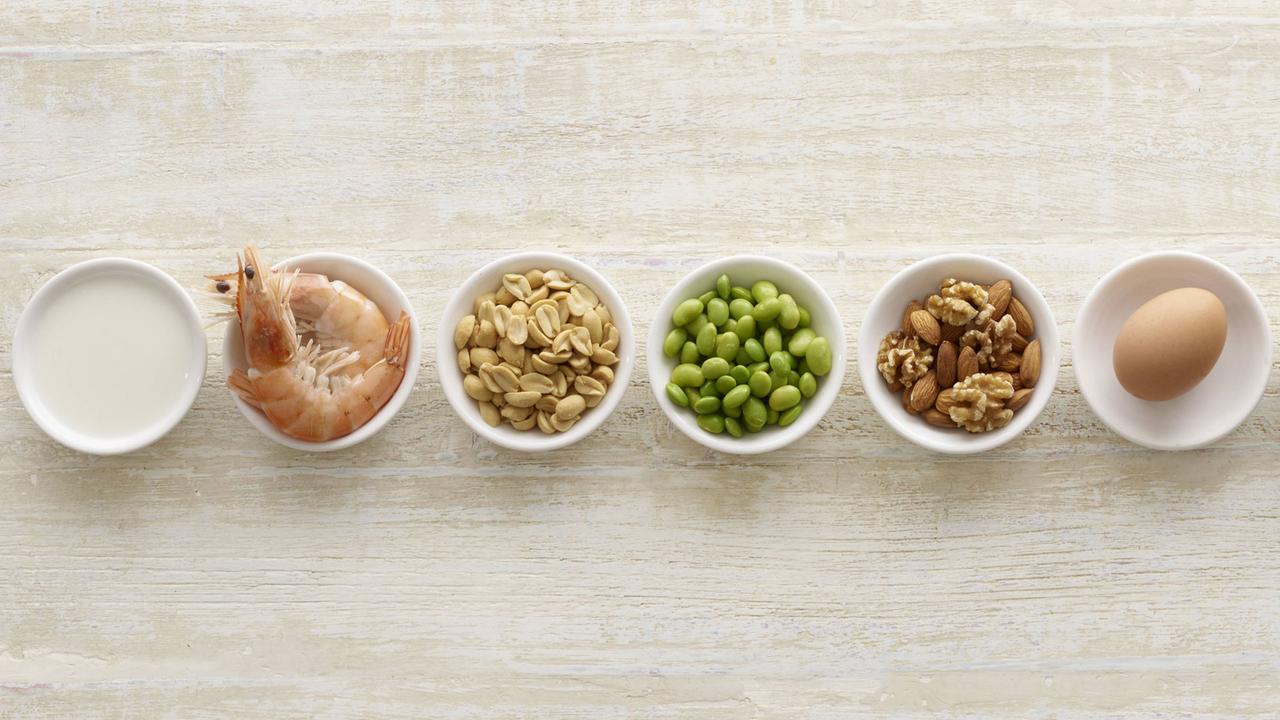 In einer Reihe stehen weiße Schälchen mit Lebensmitteln, die bei manchen Allergien auslösen: Milch, Meeresfrüchte, Nüsse, Eier. In einer Reihe stehen weiße Schälchen mit Lebensmitteln, die bei manchen Allergien auslösen: Milch, Meeresfrüchte, Nüsse, Eier.