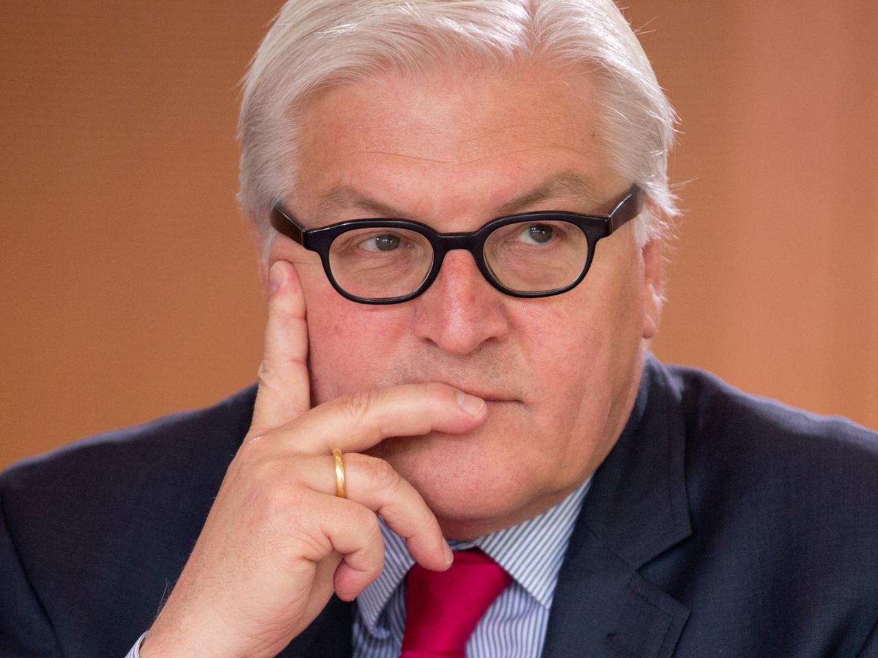 Bundesaußenminister Frank-Walter Steinmeier gibt sich besorgt. Bundesaußenminister Frank-Walter Steinmeier gibt sich besorgt.