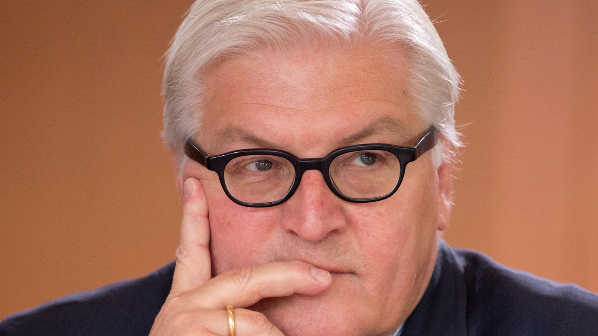 Bundesaußenminister Frank-Walter Steinmeier gibt sich besorgt. Bundesaußenminister Frank-Walter Steinmeier gibt sich besorgt.