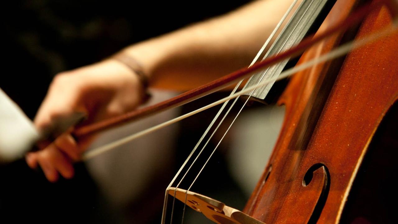 Nahaufnahme einer Cello-spielenden Hand und der Saiten, die über den Steg gezogen sind. Nahaufnahme einer Cello-spielenden Hand und der Saiten, die über den Steg gezogen sind.