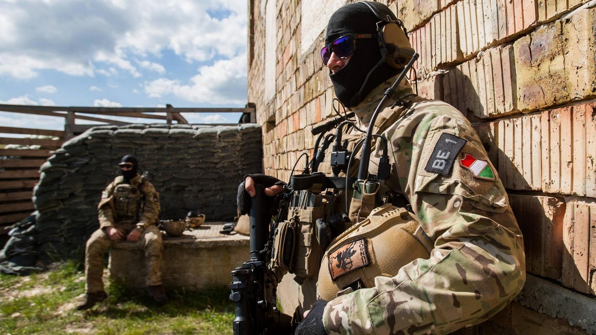 Eine Verteidigungsunion soll die EU stärken - hier eine Militärübung in Ungarn Eine Verteidigungsunion soll die EU stärken - hier eine Militärübung in Ungarn