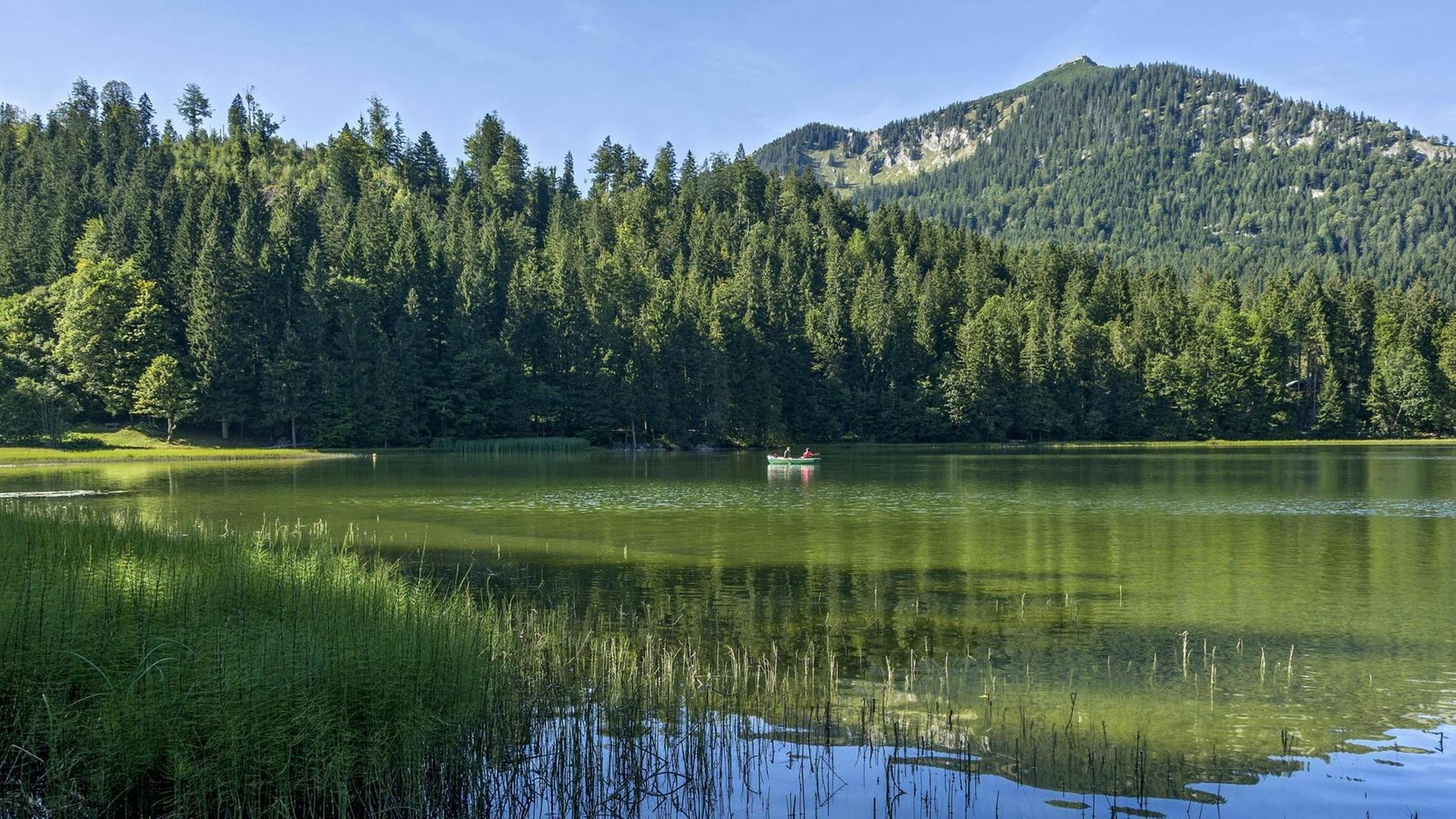 Spitzingsee mit Ruderboot, Gemeinde Schliersee, hinten Berg Brecherspitze, Mangfallgebirge, Bayerische Voralpen, Oberbayern, Bayern, Deutschland, Europa Spitzingsee mit Ruderboot, Gemeinde Schliersee, hinten Berg Brecherspitze, Mangfallgebirge, Bayerische Voralpen, Oberbayern, Bayern, Deutschland, Europa