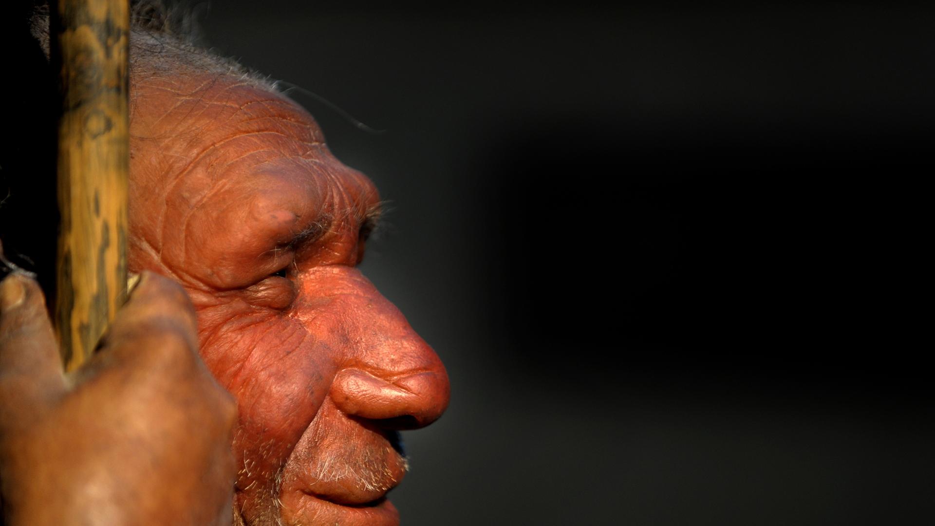 Die Nachbildung eines älteren Neandertalers im Neandertal-Museum in Mettmann. Die Nachbildung eines älteren Neandertalers im Neandertal-Museum in Mettmann.
