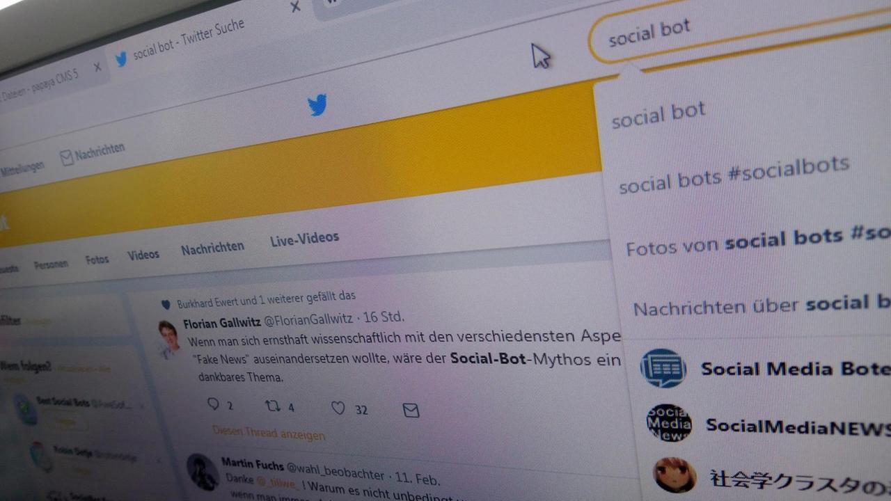 Das Wort Social Bots steht in der Suchmaske von Twitter. Das Wort Social Bots steht in der Suchmaske von Twitter.