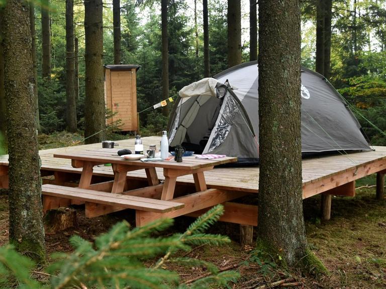 Ein Trekkingplatz im Nationalpark Eifel mit einem Zelt auf einer Holzplattform.