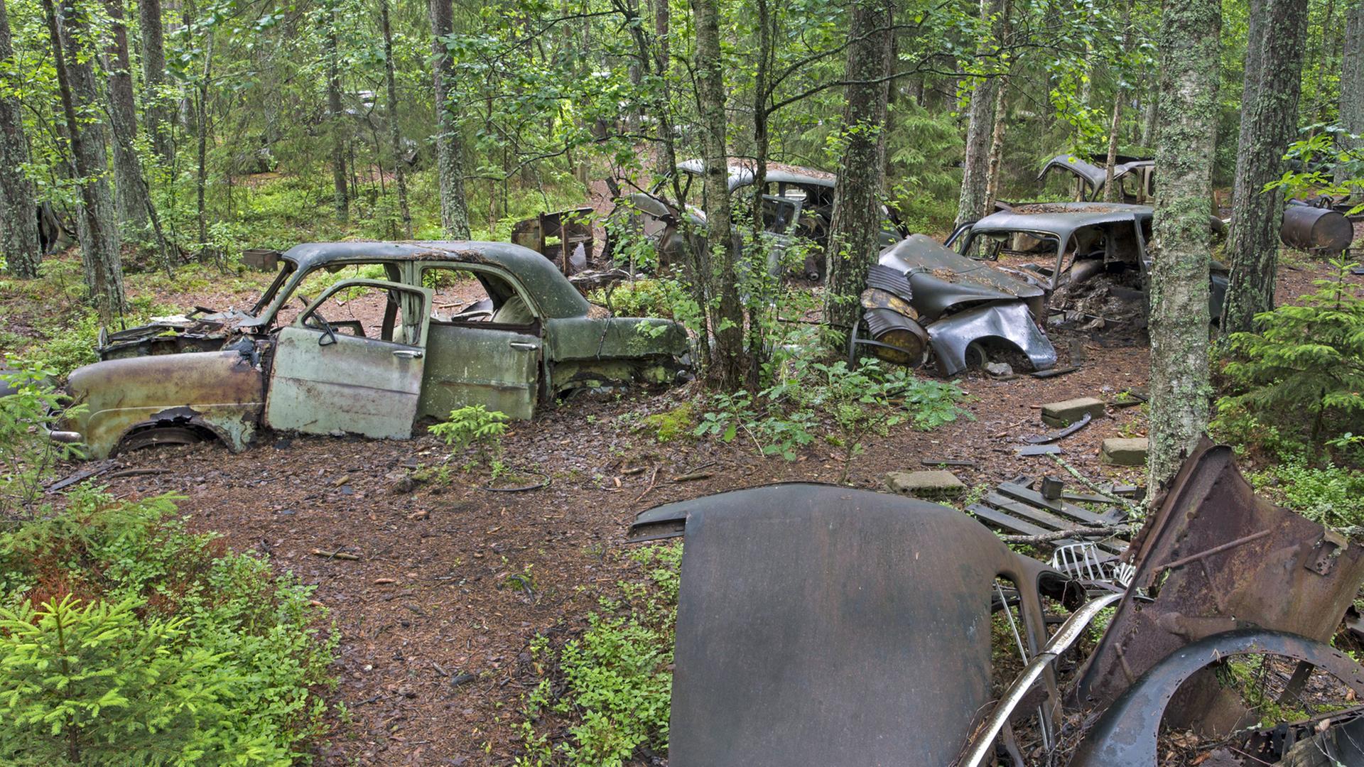 Autofriedhof Kyrkö Mosse in der Nähe der Ortschaft Ryd in Schweden Autofriedhof Kyrkö Mosse in der Nähe der Ortschaft Ryd in Schweden