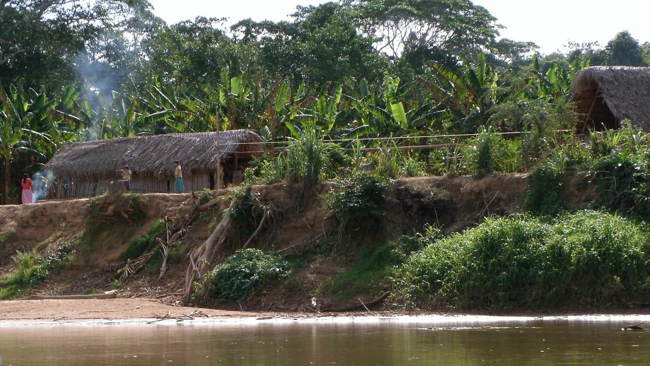 Das undatierte Handoutbild zeigt ein Tsimanesdorf im Bolivianischen Amazonas am Fluss. Das undatierte Handoutbild zeigt ein Tsimanesdorf im Bolivianischen Amazonas am Fluss.