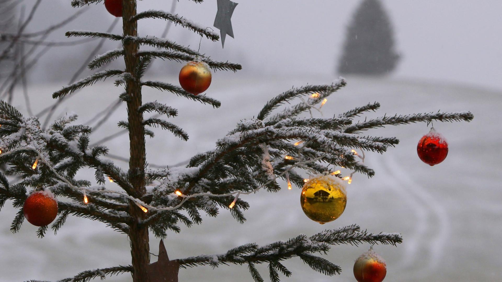 Geschmückter Christbaum im Schnee. Geschmückter Christbaum im Schnee.