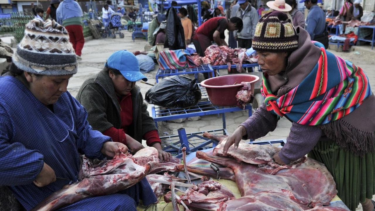 Auf einem Marktstand in La Paz verkaufen mehrere Frauen Lamafleisch (15.03.2013). Auf einem Marktstand in La Paz verkaufen mehrere Frauen Lamafleisch (15.03.2013).