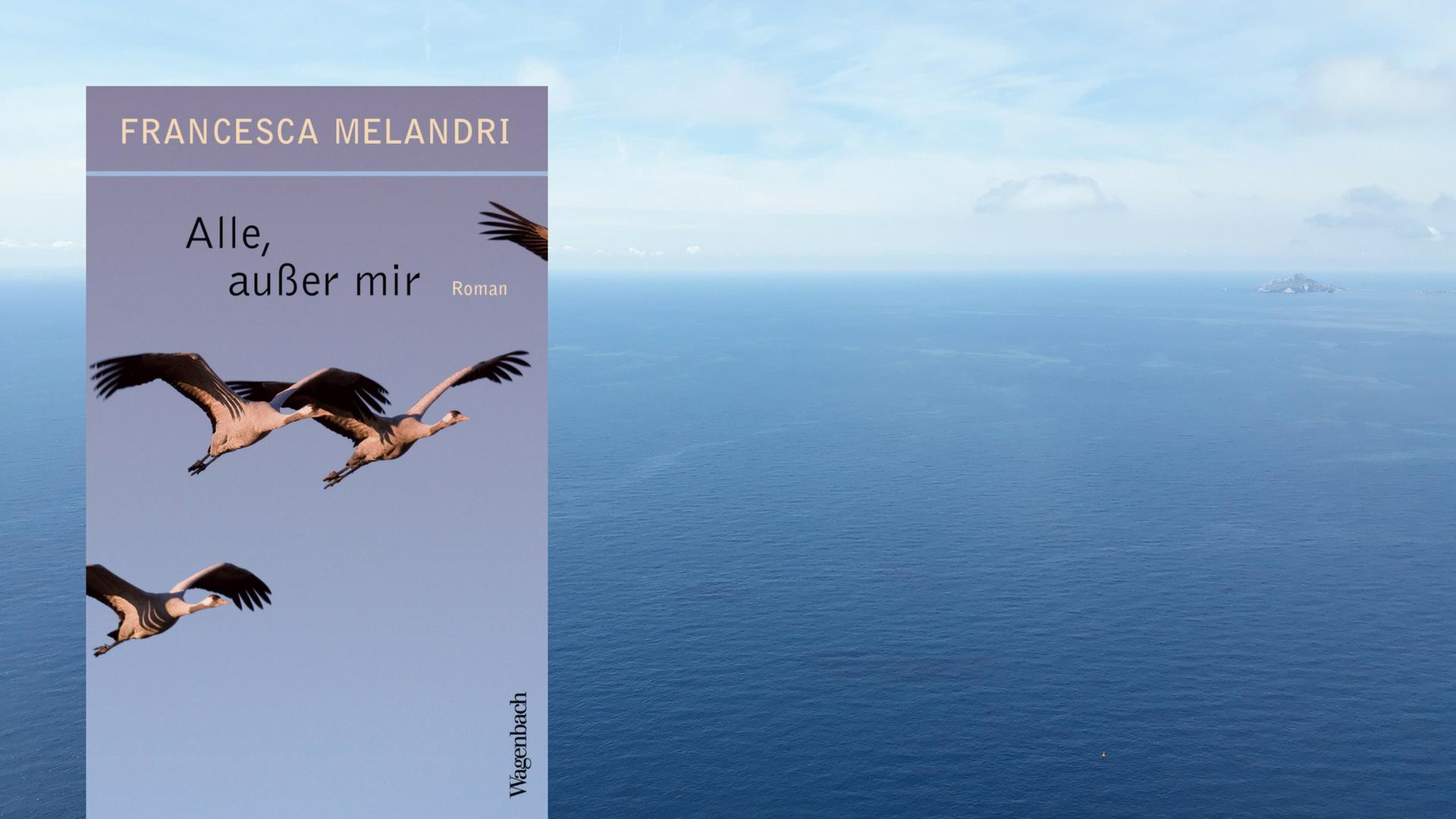 Buchcover: Francesca Melandri: "Alle, außer mir"