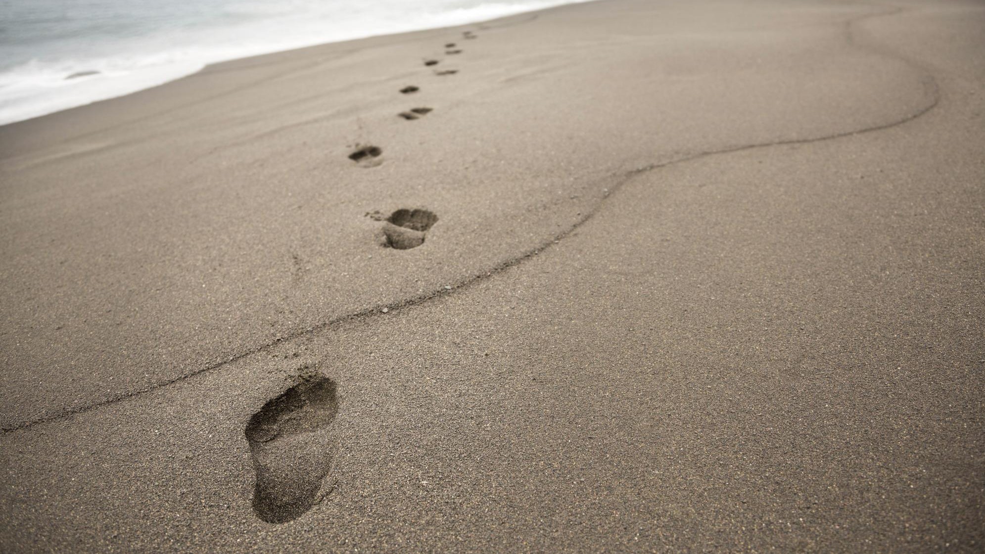 Das Ende des Lebens Ein Weg, den jeder allein geht