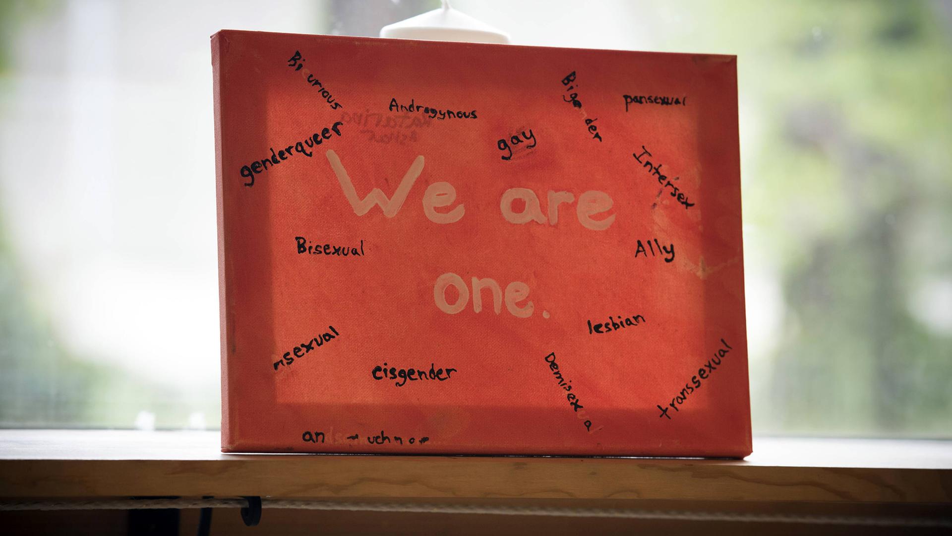 Ein Bild, auf dem um den Schriftzug "We are one" verschiedene Geschlechteridentitäten wie lesbisch, schwul oder cisgender notiert sind. Ein Bild, auf dem um den Schriftzug "We are one" verschiedene Geschlechteridentitäten wie lesbisch, schwul oder cisgender notiert sind.