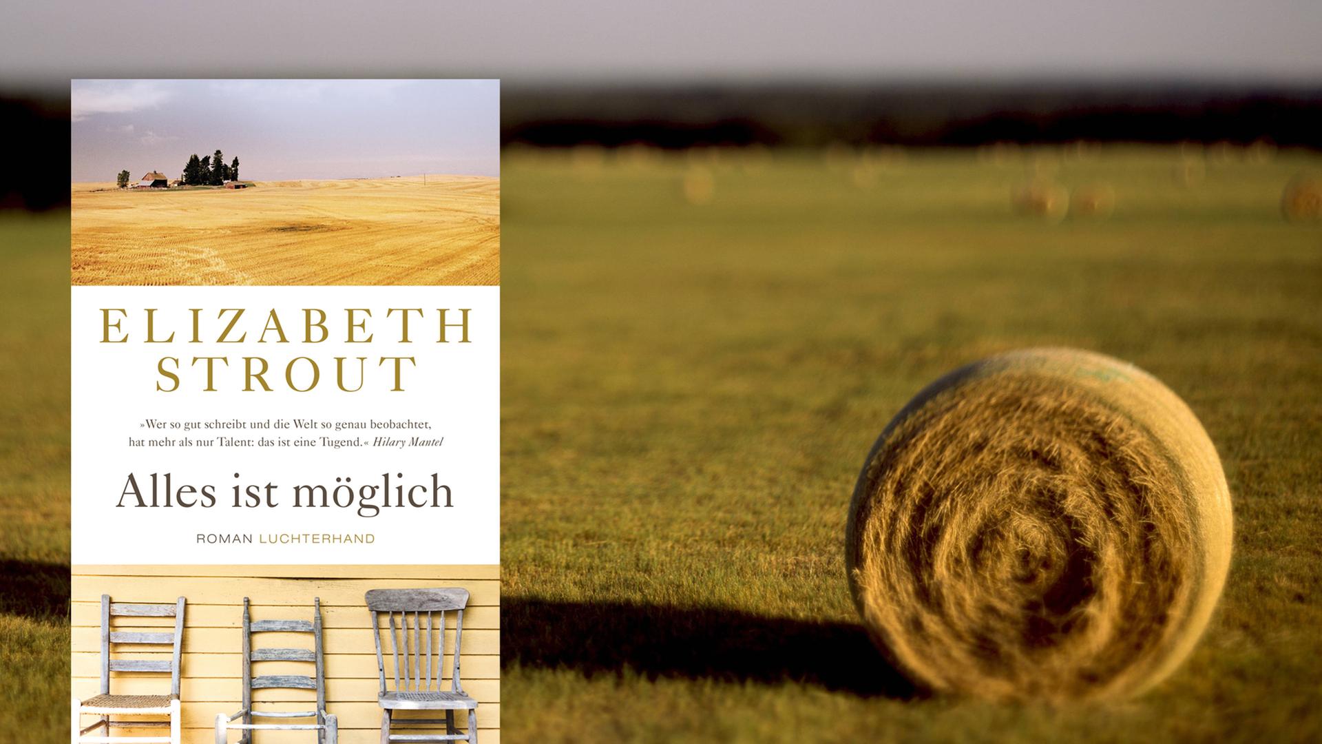 Buchcover Elizabeth Strout: "Alles ist möglich", im Hintergrund eine abgemähte Weide mit Grasballen.