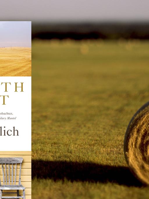 Buchcover Elizabeth Strout: "Alles ist möglich", im Hintergrund eine abgemähte Weide mit Grasballen.