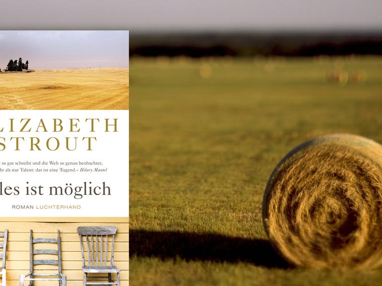 Buchcover Elizabeth Strout: "Alles ist möglich", im Hintergrund eine abgemähte Weide mit Grasballen.