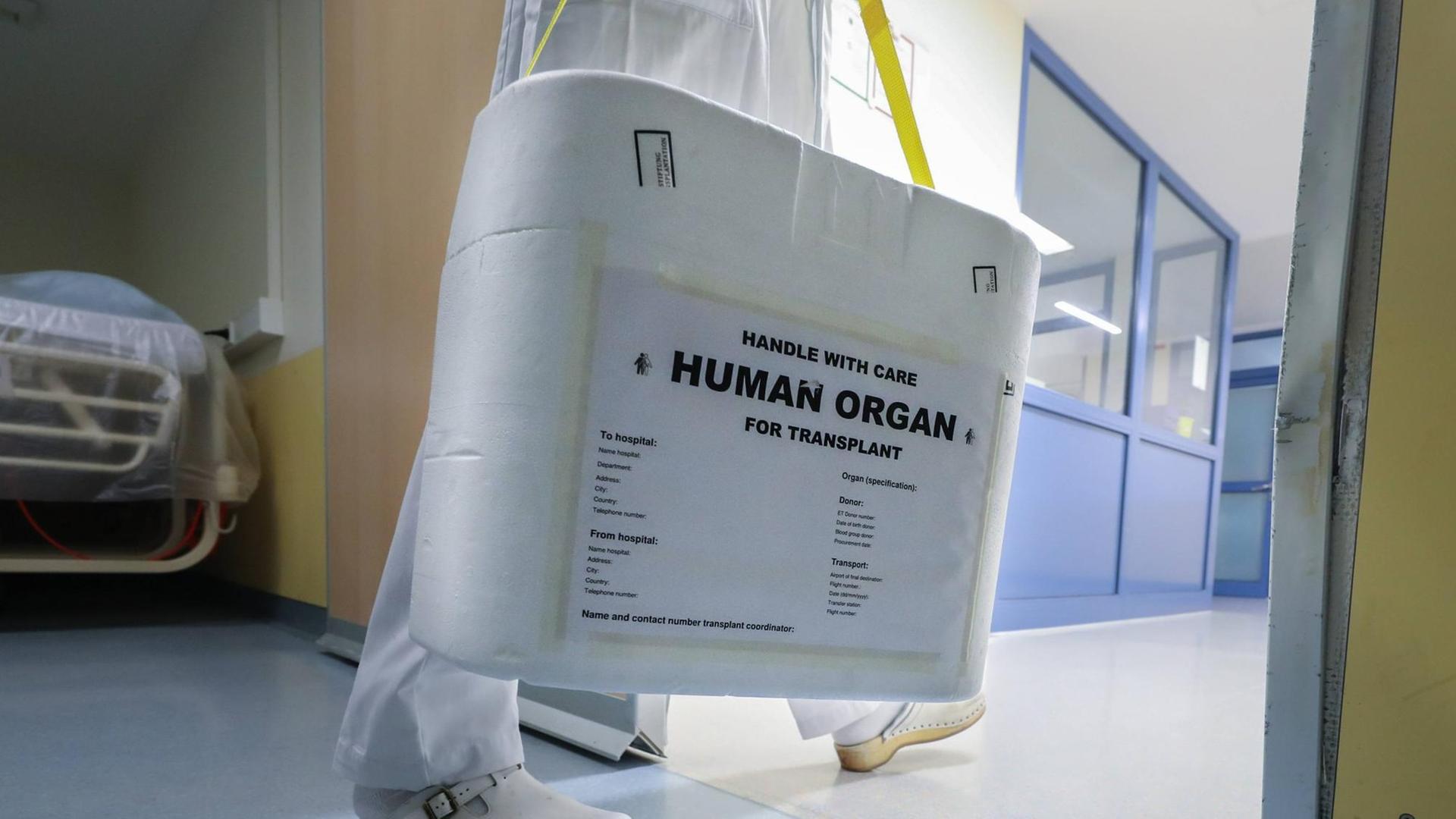 Pfleger trägt eine Box mit der Aufschrift "Human Organ" durch einen Krankenhausflur Pfleger trägt eine Box mit der Aufschrift "Human Organ" durch einen Krankenhausflur