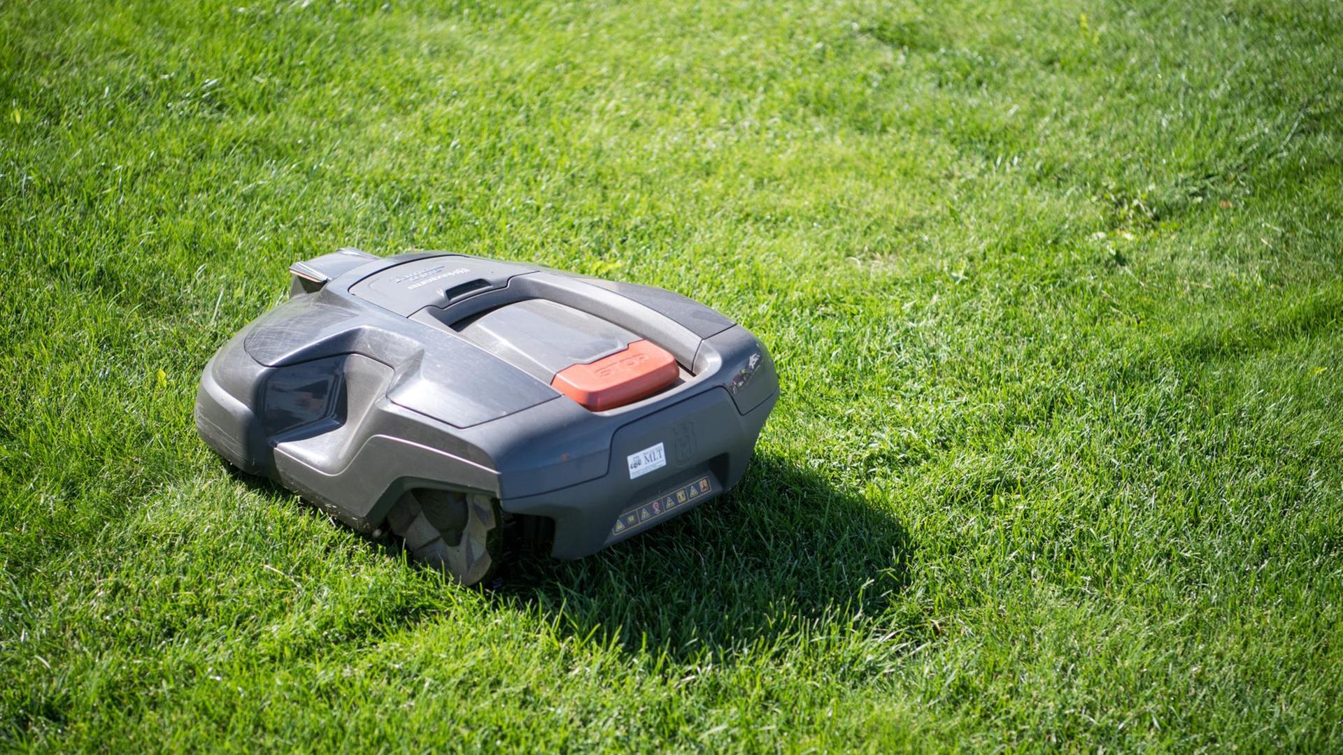 Ein Rasenmähroboter des Typs Automower 315 der Firma Husqvarna fährt am 03.01.2016 in Hülben (Baden-Württemberg) über eine Wiese. Foto: Sebastian Gollnow/dpa | Verwendung weltweit Ein Rasenmähroboter des Typs Automower 315 der Firma Husqvarna fährt am 03.01.2016 in Hülben (Baden-Württemberg) über eine Wiese. Foto: Sebastian Gollnow/dpa | Verwendung weltweit