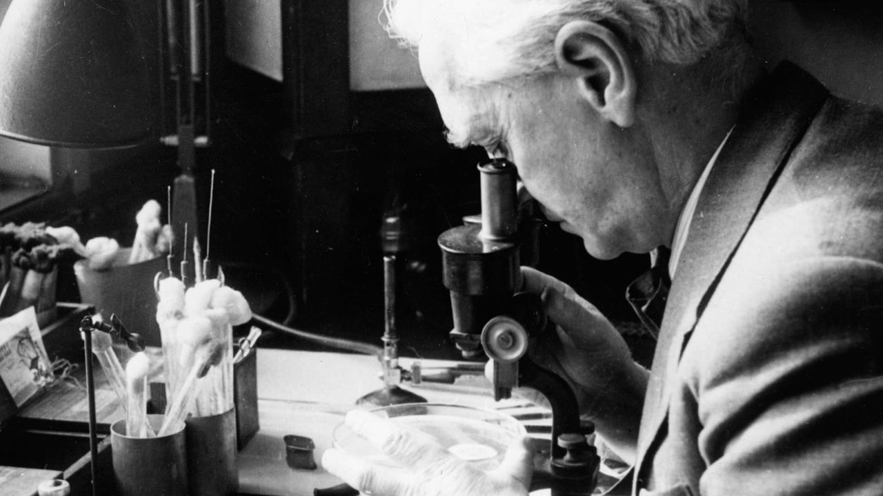 Alexander Fleming, schottischer Mediziner und Bakteriologe, der 1945 als einer der Entdecker des Antibiotikums Penicillin den Nobelpreis erhielt Alexander Fleming, schottischer Mediziner und Bakteriologe, der 1945 als einer der Entdecker des Antibiotikums Penicillin den Nobelpreis erhielt