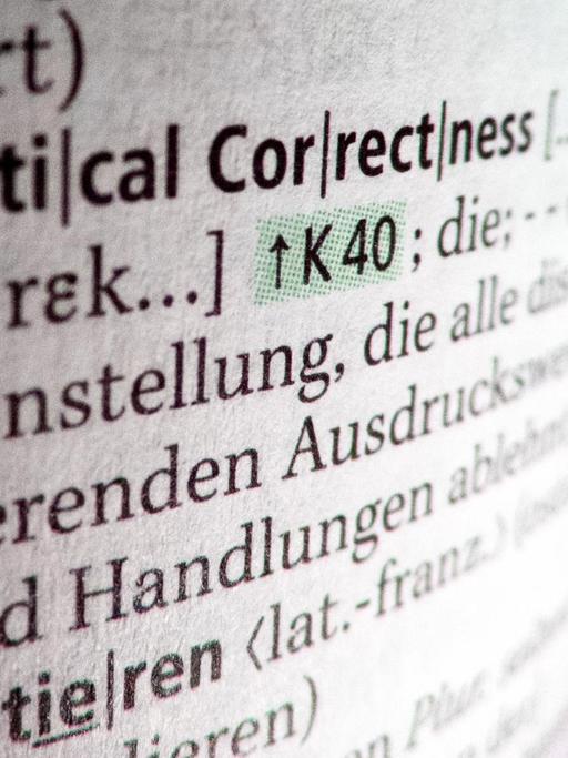 Der Eintrag zu "Political Correctness" im Duden, aufgenommen am 09.09.2017 in Berlin.