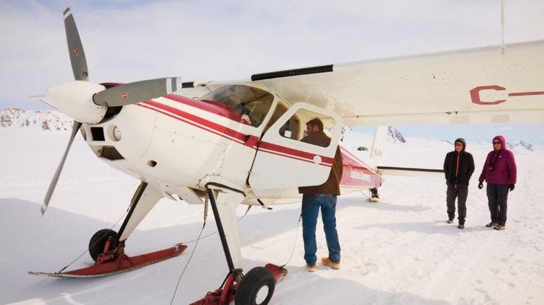 Buschflieger auf dem Gletscher. Buschflieger auf dem Gletscher.