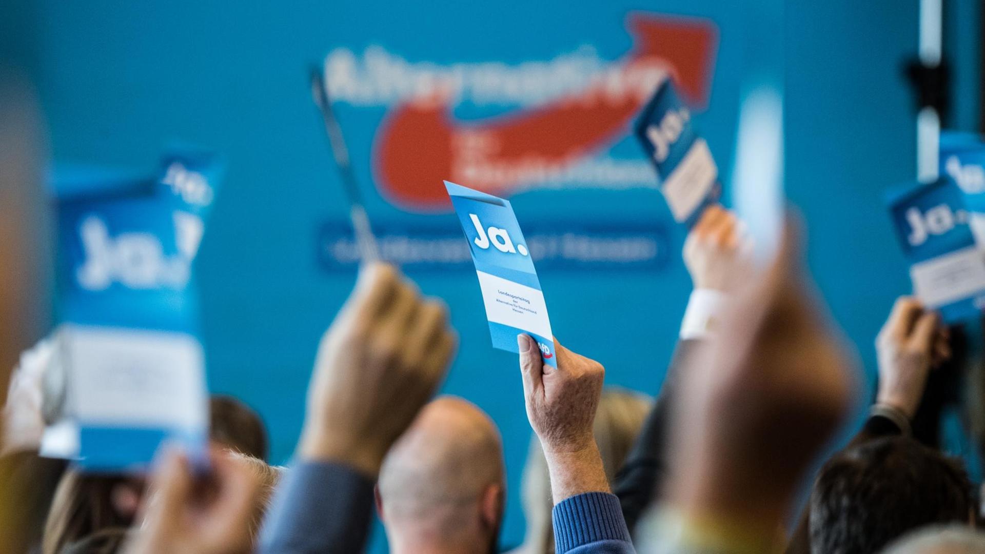 Delegierte halten während eines Landesparteitages der hessischen AfD ihre Stimmkarten nach oben. Delegierte halten während eines Landesparteitages der hessischen AfD ihre Stimmkarten nach oben.