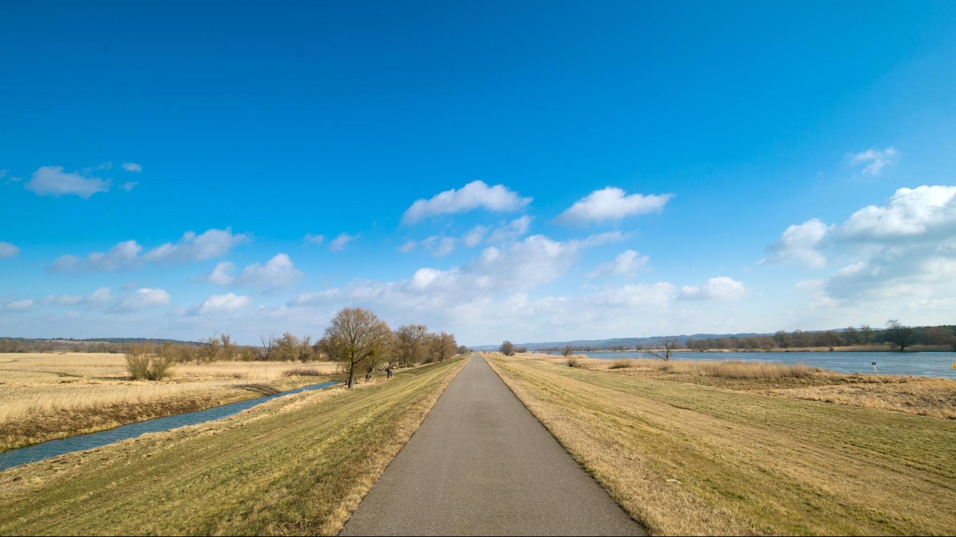 Der Oder-Neiße-Radweg im Nationalpark Unteres Odertal am deutsch-polnischen Grenzfluss Oder unweit von Schwedt (Brandenburg), aufgenommen am 04.03.2015. Der Nationalpark Unteres Odertal liegt zwischen Hohensaaten und dem polnischen Szczecin (Stettin). Seit 1993 ist der polnische Teil mit etwa 6.000 Hektar als Landschaftsschutzpark, seit 1995 der deutsche mit etwa 10.500 Hektar als Nationalpark ausgewiesen. Die Oderaue ist geprägt von der Stromoder selbst, ihren Altwassern und Schilfgürteln, von den periodisch überfluteten Feuchtwiesen und dem naturnahen Auwald. Die das Tal begrenzenden Hänge sind von artenreichen Laubwäldern bedeckt, die Kuppen von blumigen Trockenrasen. Diese vielfältigen Lebenstypen auf engstem Raum ermöglichen eine für Mitteleuropa ungewöhnliche Artenvielfalt. Der Oder-Neiße-Radweg im Nationalpark Unteres Odertal am deutsch-polnischen Grenzfluss Oder unweit von Schwedt (Brandenburg), aufgenommen am 04.03.2015. Der Nationalpark Unteres Odertal liegt zwischen Hohensaaten und dem polnischen Szczecin (Stettin). Seit 1993 ist der polnische Teil mit etwa 6.000 Hektar als Landschaftsschutzpark, seit 1995 der deutsche mit etwa 10.500 Hektar als Nationalpark ausgewiesen. Die Oderaue ist geprägt von der Stromoder selbst, ihren Altwassern und Schilfgürteln, von den periodisch überfluteten Feuchtwiesen und dem naturnahen Auwald. Die das Tal begrenzenden Hänge sind von artenreichen Laubwäldern bedeckt, die Kuppen von blumigen Trockenrasen. Diese vielfältigen Lebenstypen auf engstem Raum ermöglichen eine für Mitteleuropa ungewöhnliche Artenvielfalt.