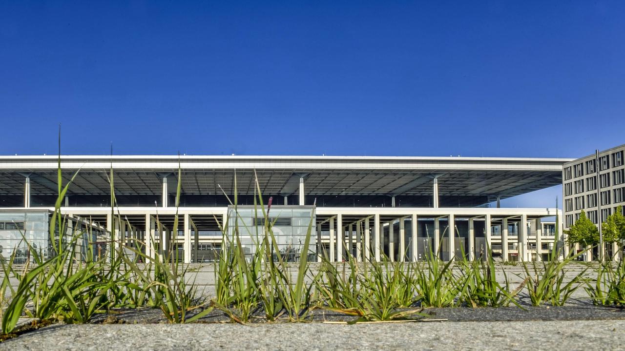 Gras wächst vor dem neuen Flughafen in Berlin. Gras wächst vor dem neuen Flughafen in Berlin.