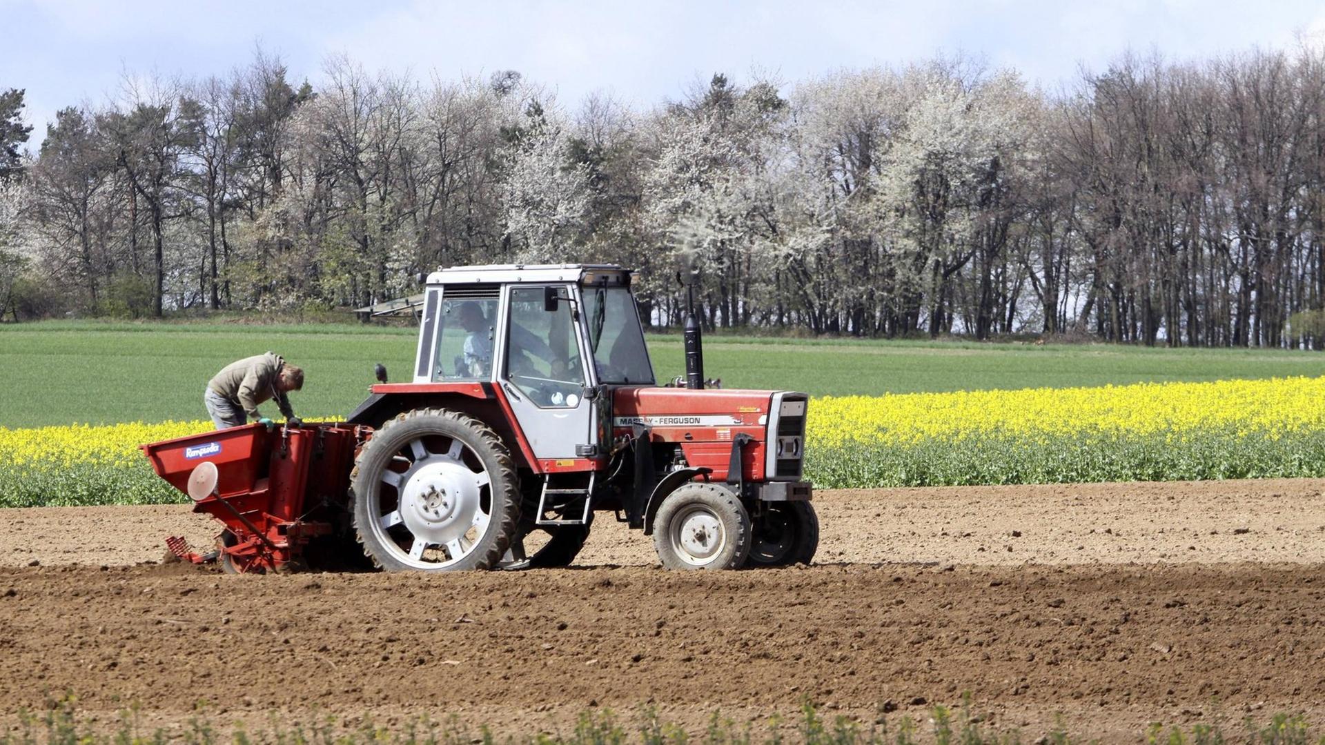 Ein Traktor beim Kartoffelanbau. Ein Traktor beim Kartoffelanbau.