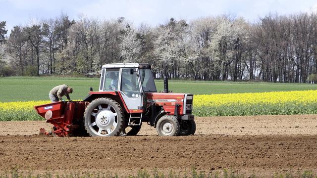 Ein Traktor beim Kartoffelanbau.
