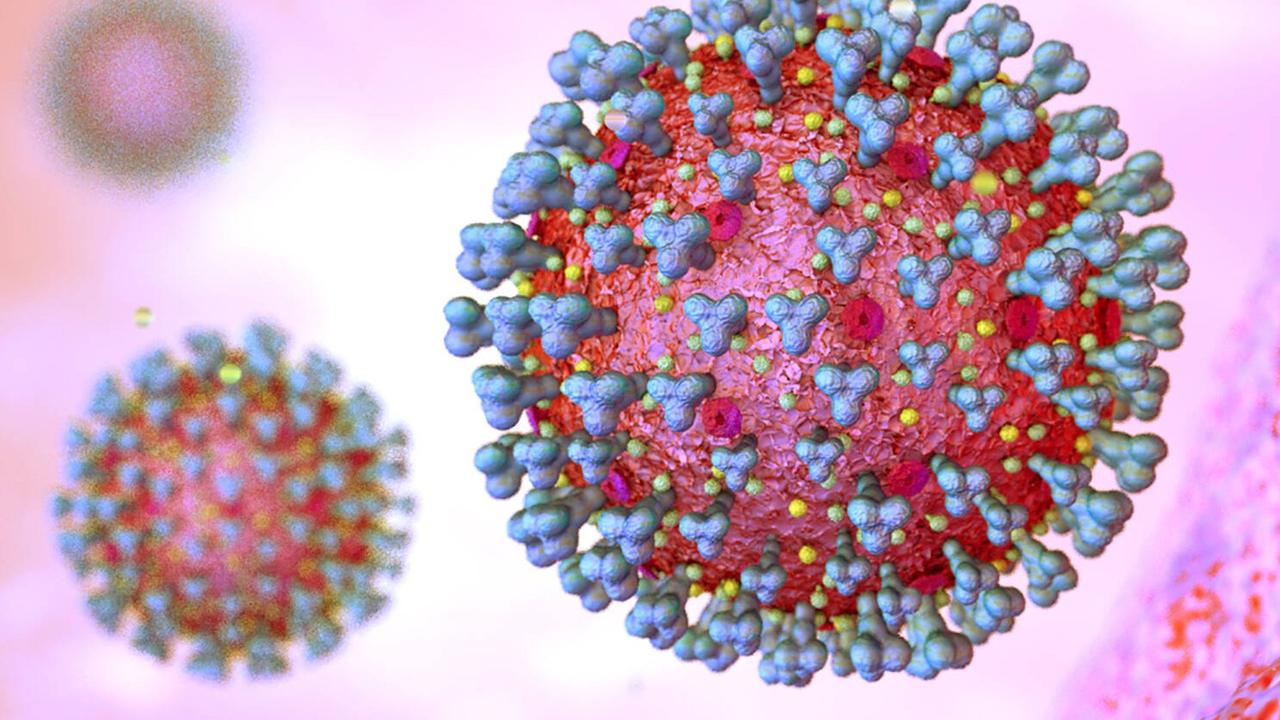 Mikroskopische Ansicht des Coronavirus Mikroskopische Ansicht des Coronavirus
