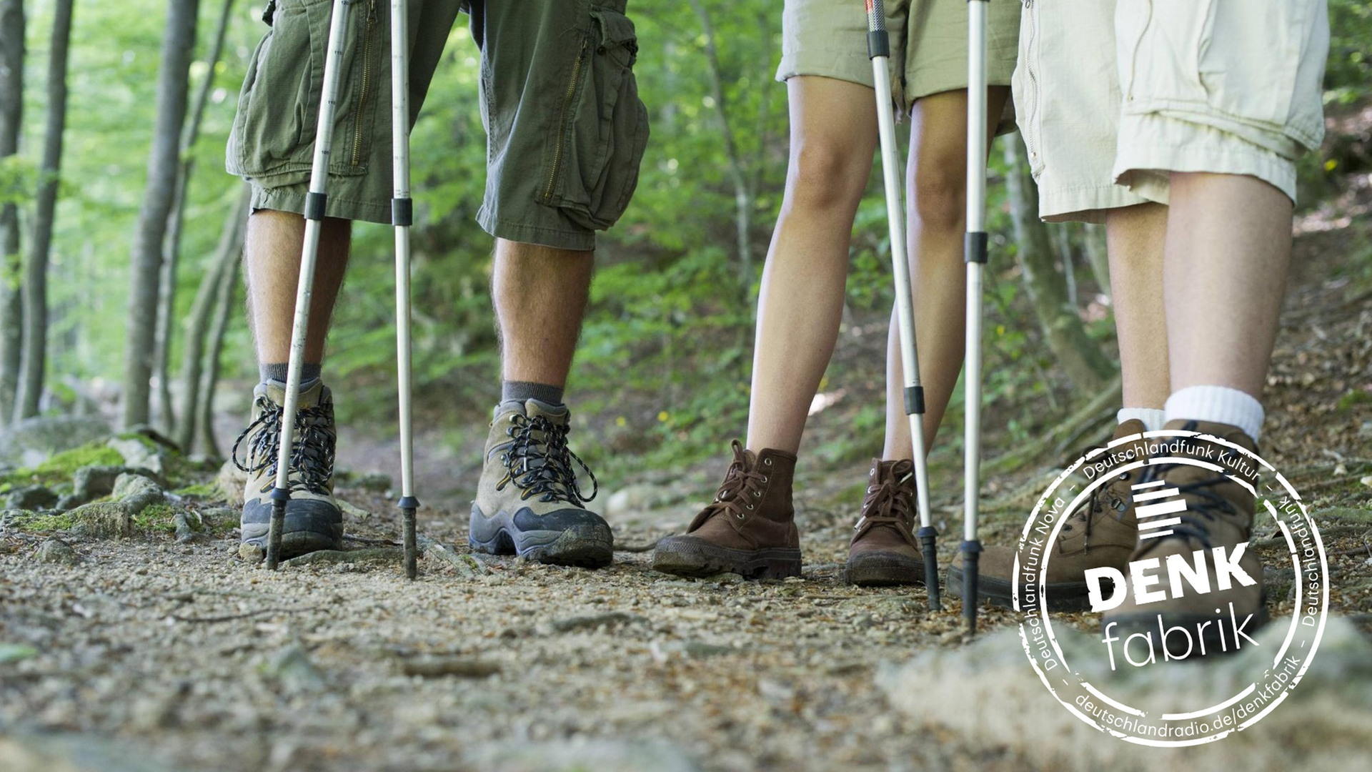 Die Beine von drei Menschen mit Wanderschuhen im Wald Die Beine von drei Menschen mit Wanderschuhen im Wald