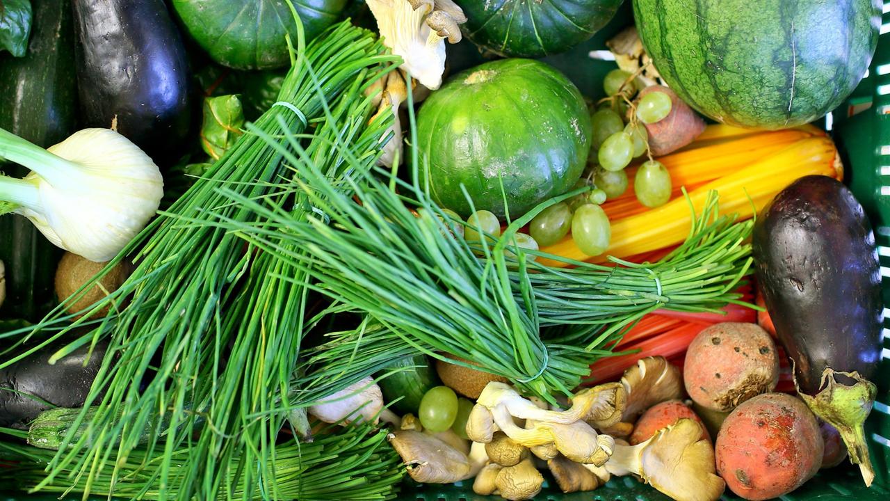 Ein Gemüse-Korb mit Fenchel, Schnitt-Lauch, Kürbissen und Auberginen.