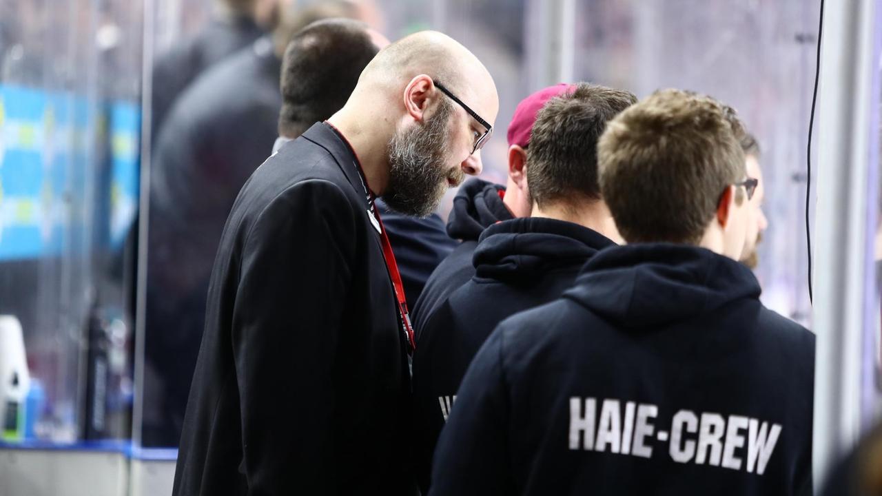 Philipp Walter, Geschäftsführer der Kölner Haie, steht mit weiteren Crewmitgliedern am Spielfeldrand. Philipp Walter, Geschäftsführer der Kölner Haie, steht mit weiteren Crewmitgliedern am Spielfeldrand.