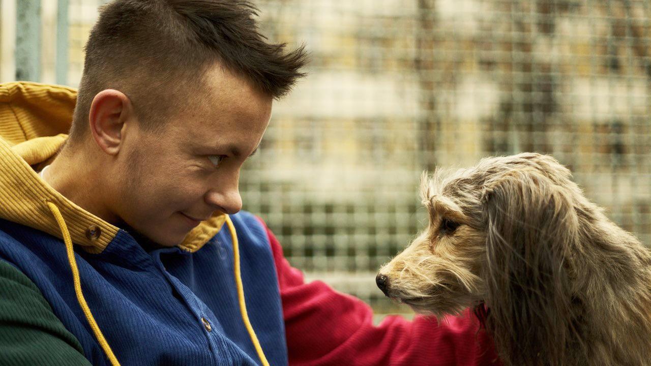 Der Künstler und der Hund Aug in Aug im Profil Der Künstler und der Hund Aug in Aug im Profil