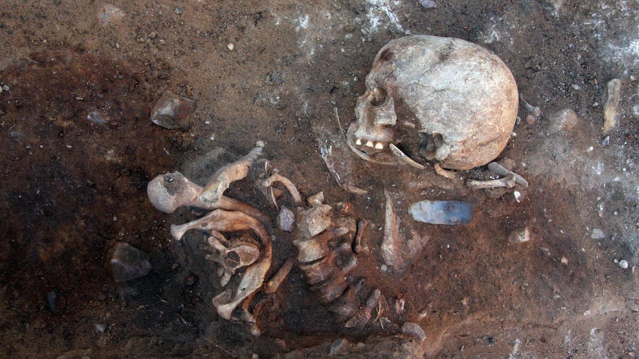Handout eines undatierten Grabungsfundes, vorgestellt am 11.02.2016 auf einer Pressekonferenz in Berlin zu den Ergebnissen von archäologischen Nachgrabungen auf einem Berg nahe Groß Fredenwalde in der Uckermark (Brandenburg). Die neu gefundenen Gräber datieren in die Mittelsteinzeit und sprechen Handout eines undatierten Grabungsfundes, vorgestellt am 11.02.2016 auf einer Pressekonferenz in Berlin zu den Ergebnissen von archäologischen Nachgrabungen auf einem Berg nahe Groß Fredenwalde in der Uckermark (Brandenburg). Die neu gefundenen Gräber datieren in die Mittelsteinzeit und sprechen
