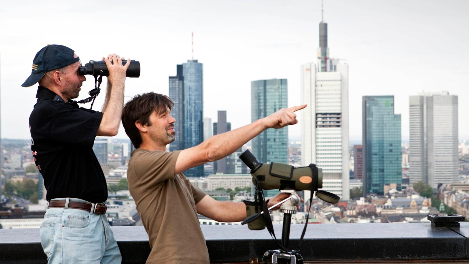 Die Hobby-Ornithologen Witiko Heuser (l) und Ingo Rösler (r) stehen mit ihren Feldstechern und Spektiven auf dem Dach des Posthochhauses der Commerzbank am Rande des Hauptbahnhofs von Frankfurt am Main Die Hobby-Ornithologen Witiko Heuser (l) und Ingo Rösler (r) stehen mit ihren Feldstechern und Spektiven auf dem Dach des Posthochhauses der Commerzbank am Rande des Hauptbahnhofs von Frankfurt am Main