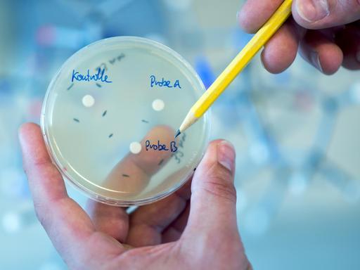 ILLUSTRATION - Ein Mann zeigt am 09.08.2016 im Helmholtz-Zentrum für Infektionsforschung in Braunschweig (Niedersachsen) auf eine Petrischale mit unterschiedlichen Antibiotikaproben.