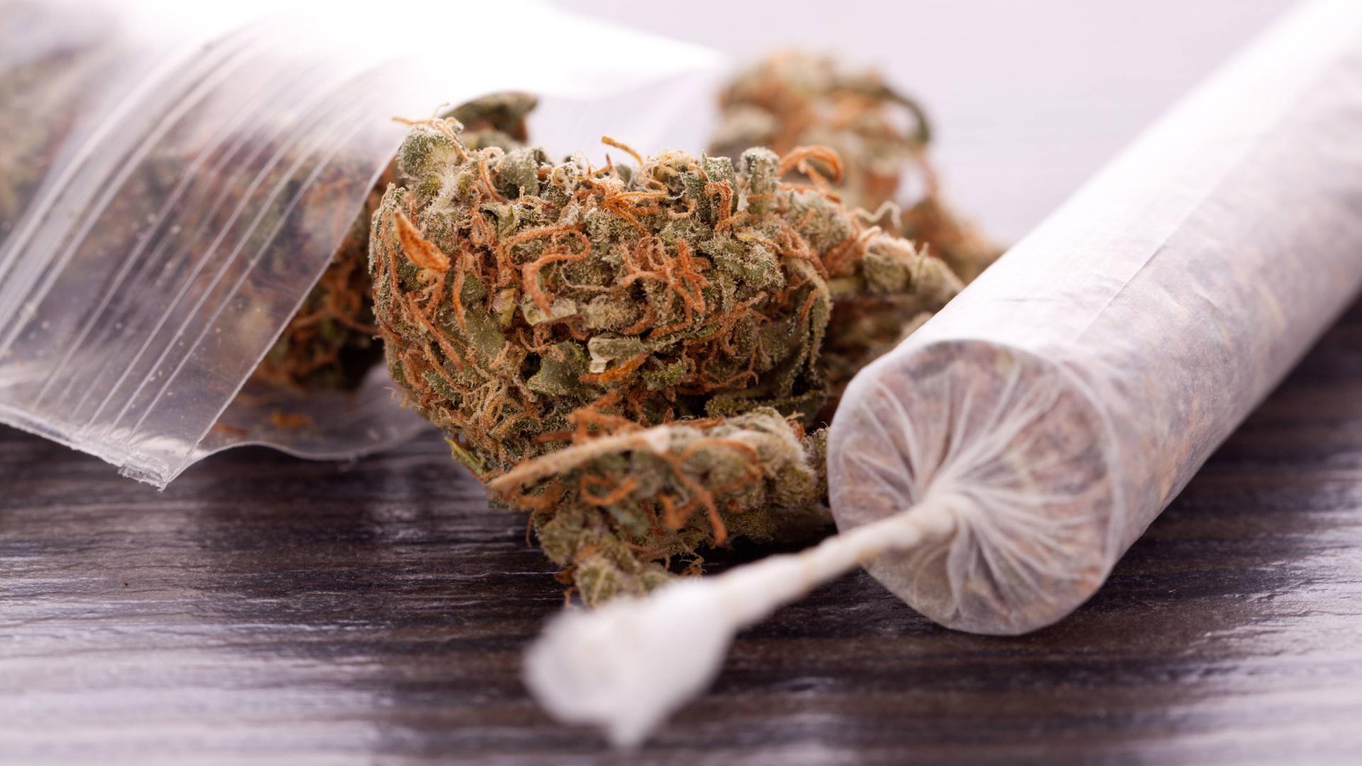 Getrocknete Cannabis-Blüten Getrocknete Cannabis-Blüten
