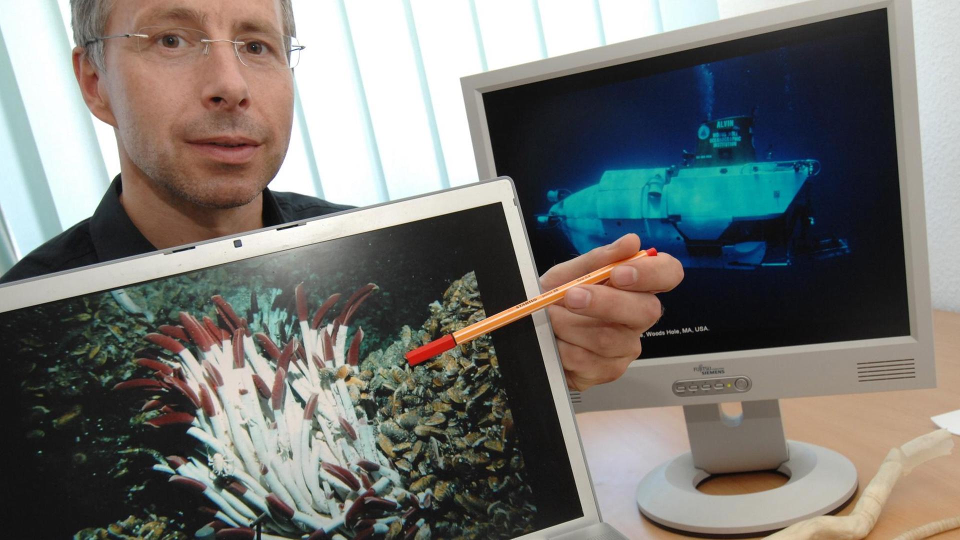 Der Leiter des Instituts für Marine Biotechnologie, der Mikrobiologe Prof. Thomas Schweder, zeigt am 29.07.2008 im Institut in Greifswald Tiefsee-Würmer, die in einer für den Menschen lebensfeindlichen Umgebung in der Nähe von Tiefseevulkanen ("black smoker") leben. Der Leiter des Instituts für Marine Biotechnologie, der Mikrobiologe Prof. Thomas Schweder, zeigt am 29.07.2008 im Institut in Greifswald Tiefsee-Würmer, die in einer für den Menschen lebensfeindlichen Umgebung in der Nähe von Tiefseevulkanen ("black smoker") leben.